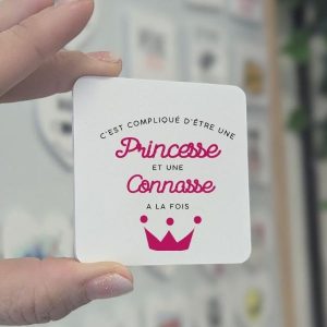 Magnet Princesse et connasse